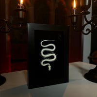 Image 2 of Vermicelli Noodle - Snake Skeleton 