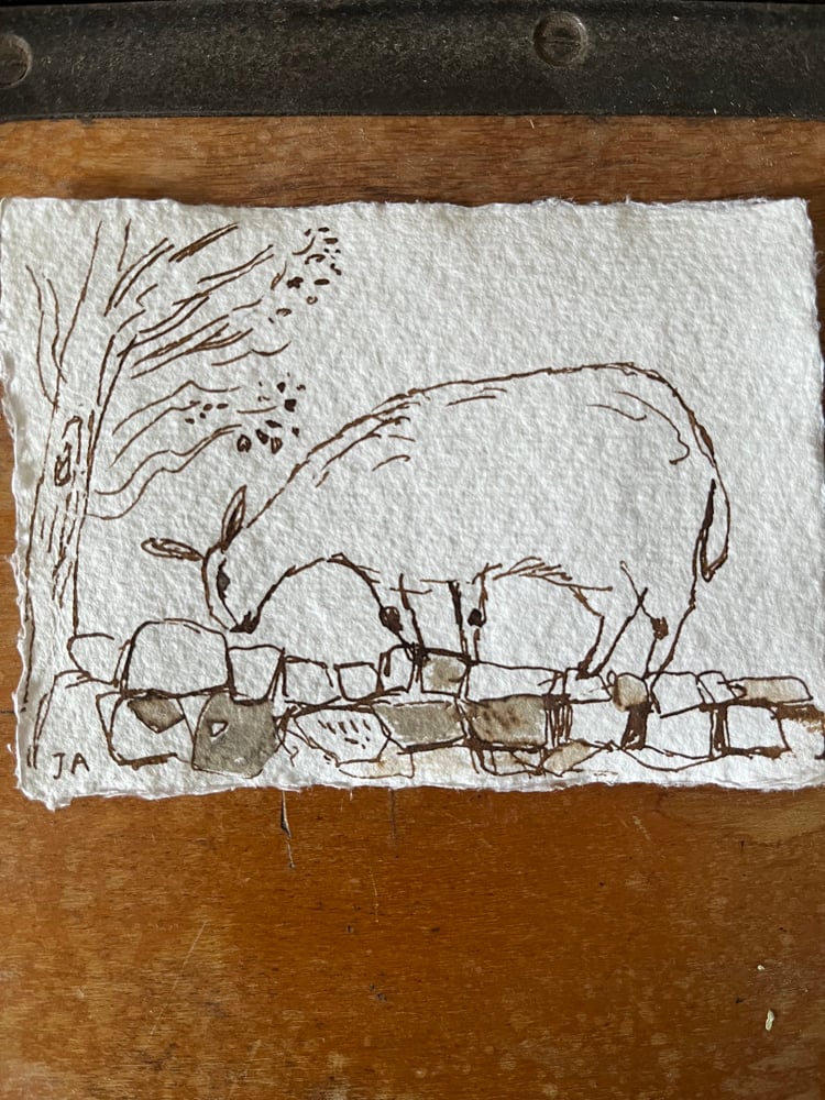 Image of Sheep on a wall.
