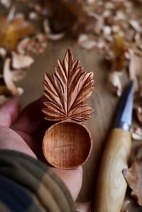Image 2 of Maple Leaf Coffee  Scoop
