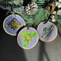 Image 1 of Moth Hand-Painted Wood Ornaments