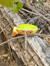Big D Crawler Candy 1