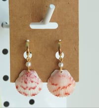 Image 1 of Scallop Shell Earrings