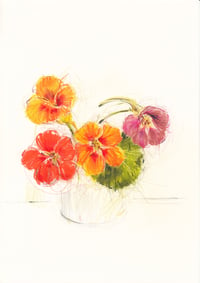 Nasturtium in a jar 2