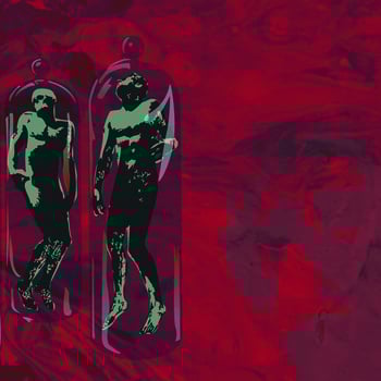 Image of Spider Goat Canyon/Hotel Wrecking City Traders - Japan Tour Split (CD) (2012)