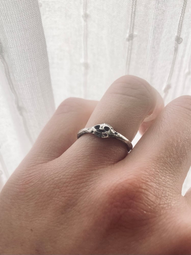 Image of Arianrhod ring • size L 1/2