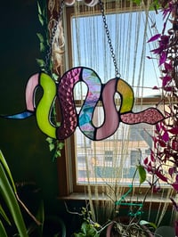 Image 1 of  Pink Snake ๐ ๐