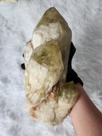 Image 5 of 8.1lb XL Citrine Crystal Cluster With Custom Wood Stand