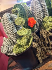 Image 2 of Succulent Planters