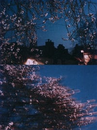 Image 2 of SPRING NIGHT II