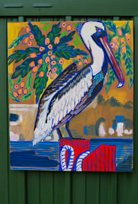 Image 2 of Florida Brown Pelican w Loquat on dock