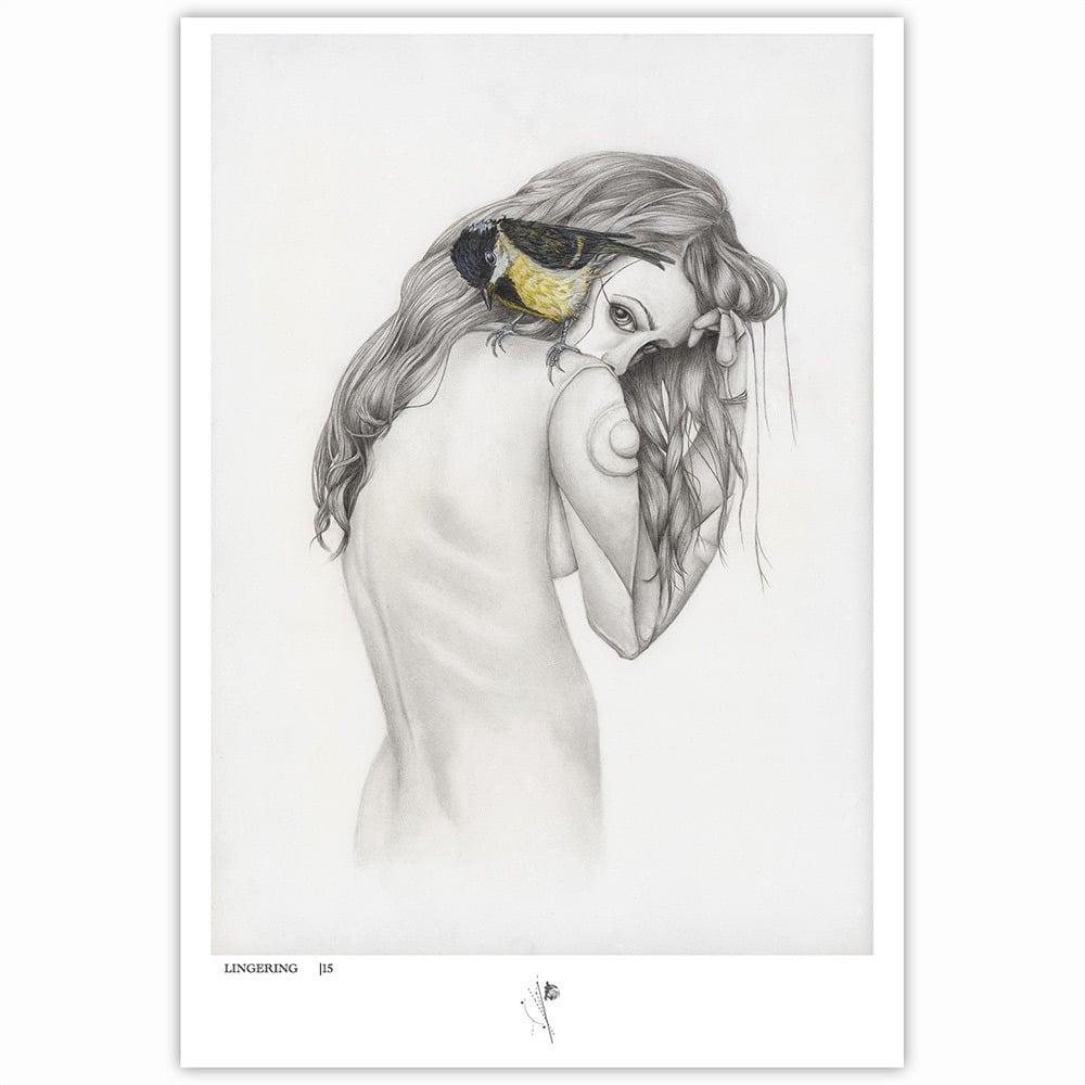 Image of Lingering LE