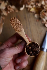 Image 4 of Falling Leaves Coffee   Scoop 