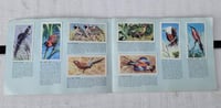 Image 4 of Vintage Brooke bond card books