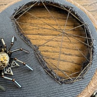 Image 3 of Snake skin spider web (c, 4 inches)