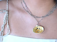 Image 2 of Kitty sleeping under the stars 