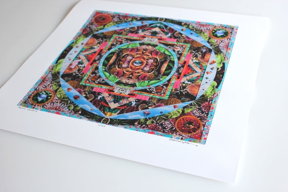 Image of Aquatic Mandala