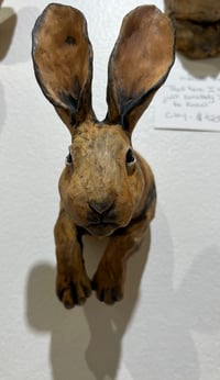 Image 3 of To cook your Hare, you must first catch it- Julie Kradel