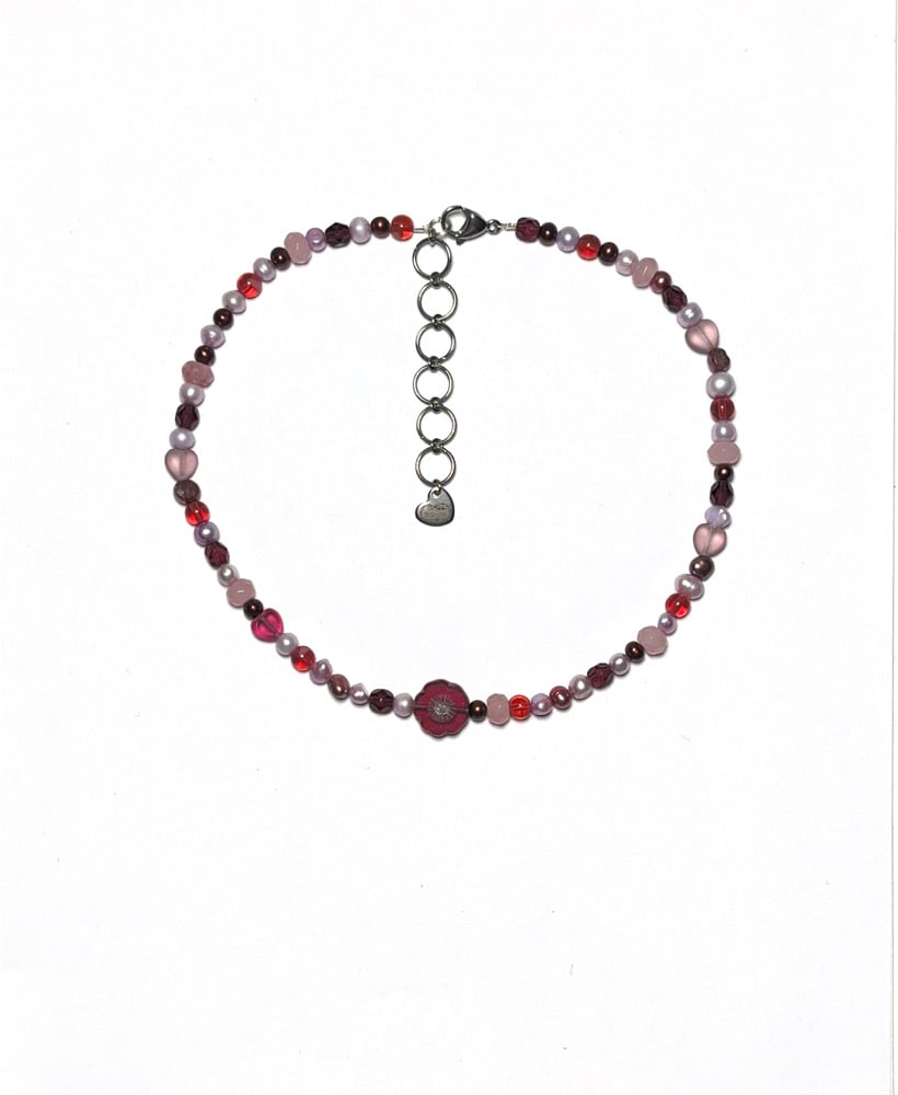 Image of maroon daisy