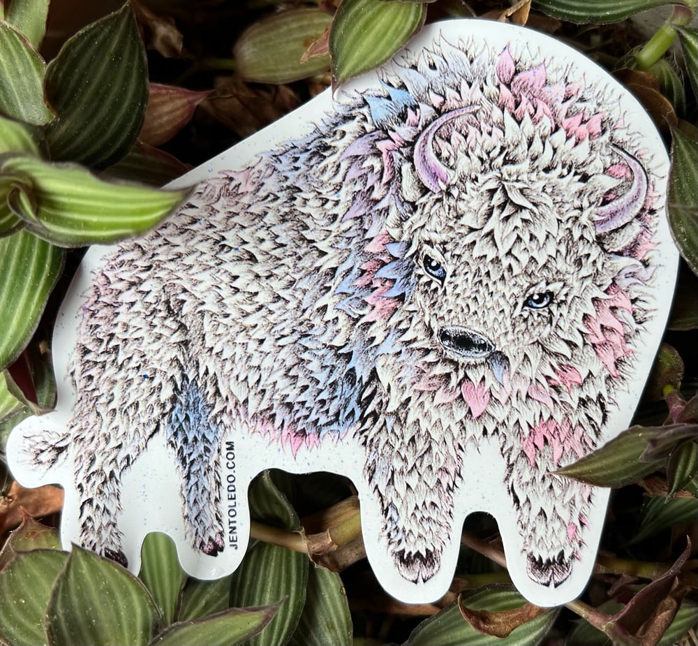 Image of White Buffalo Calf Sticker