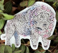 White Buffalo Calf Sticker