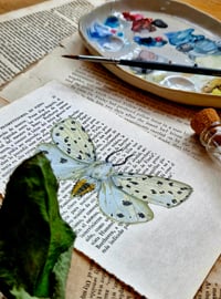 Image 2 of Life in Old Pages Insect n. 58 Tiger Moth