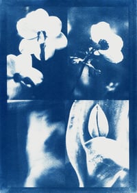 Image 4 of FOUR FLOWERS (CYANOTYPE)