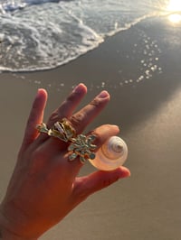 Image 5 of SEASHELL HOME
