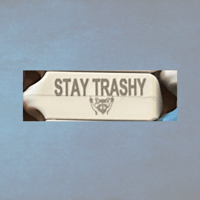 STAY TRASHY RACOON TAGS