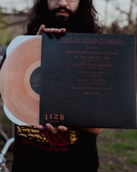 Image 2 of SINS OF YOUR DOMAIN VINYL