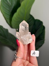 Image 1 of CHOOSE YOUR OWN NATURAL (UNPOLISHED) QUARTZ POINT -BRAZIL-