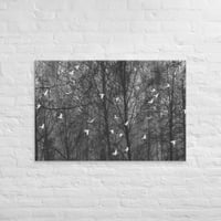 Veil of Trees Canvas