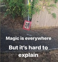 Image 2 of Magic is everywhere but it’s hard to explain 3