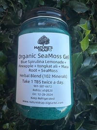 Organic SeaMoss Gel Blue Spirulina Lemonade + Pineapple + tongkat ali + Maca Root