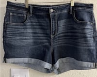 Image 5 of Sz 20 Time & Tru Denim shorts (Gently used) #97*14
