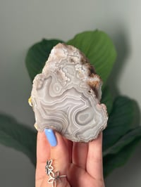 Image 3 of DOUBLE SIDED LAGUNA AGATE SLICE Q