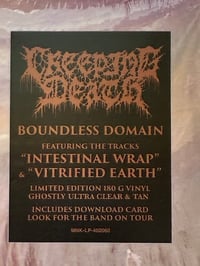Image 3 of Creeping Death - Boundless Domain LP sealed - Ghostly Ultra Clear and Tan pressing