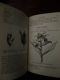 Image 12 of Cours élémentaire de Botanique, A.Mangin,1886