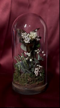 Image 4 of Crystal Quartz Dome