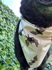 Image 3 of Bats bandana