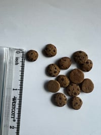 Image 3 of 1 dozen miniature chocolate chip cookies 