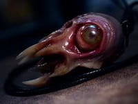 Image 24 of Flesh Oracle Snaggletooth Pendant - Handmade OOAK