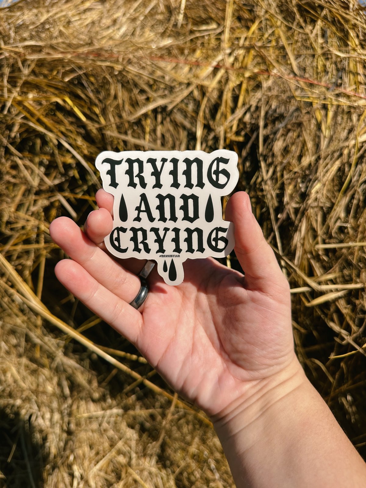 Trying and Crying Sticker 