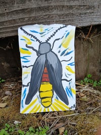 Image 1 of Lightning Bug