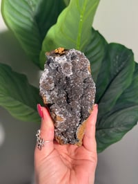 Image 1 of SUGAR DRUZY CHALCEDONY X MANGANESE -MOROCCO- H