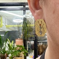 Image 2 of Pendientes Ant