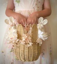 Image 5 of Cottontail