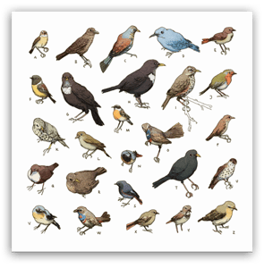 Image of Birds Artprint 30 x 30 cm