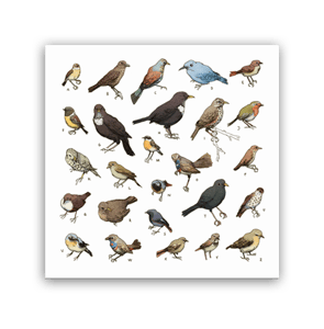 Image of Birds Artprint 20 x 20 cm