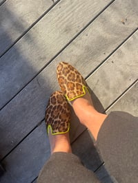 Image 2 of mule leopard 🐆 🍋