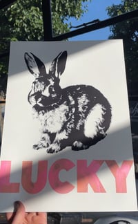 Image 3 of Luck Bunnies 